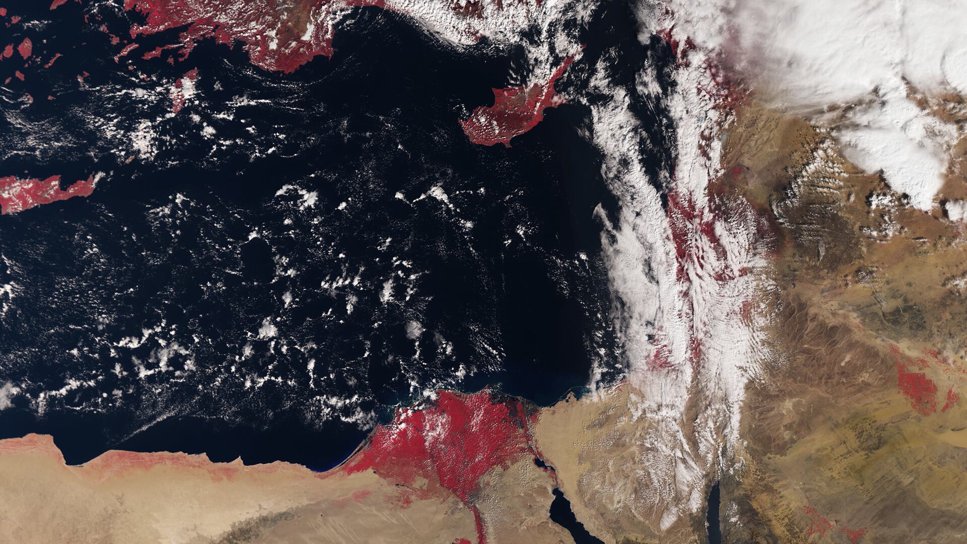 conflictos por el agua