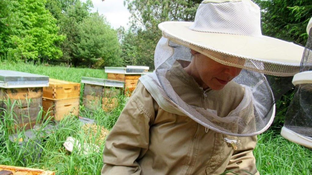 Artista colabora con abejas para crear estas impresionantes obras