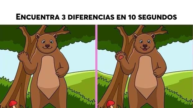 Encuentra las tres diferencias de la imagen.
