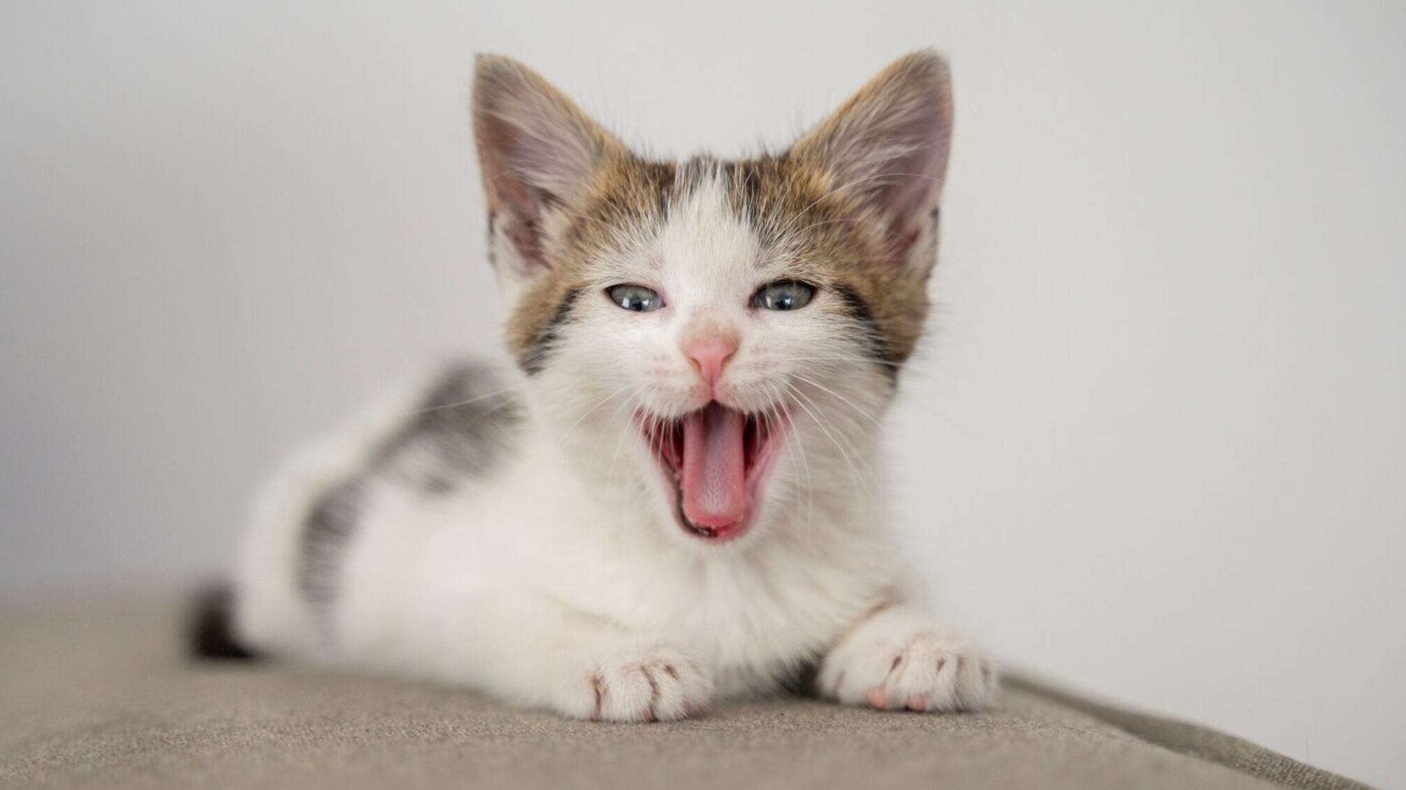 El tiempo de juego es importantísimo