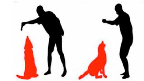 Elige una de las siluetas.