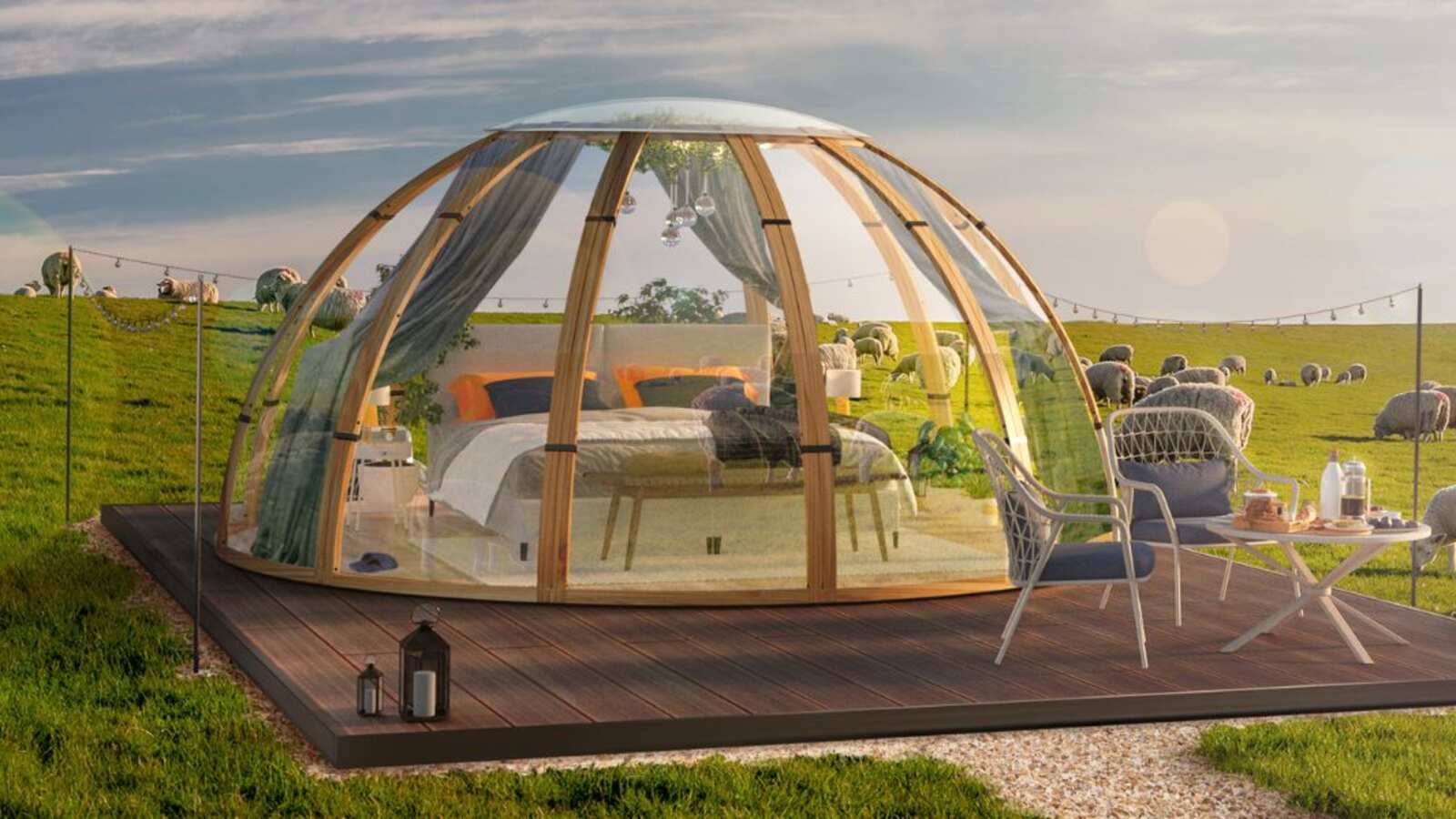 Camping ofrece ovejas reales