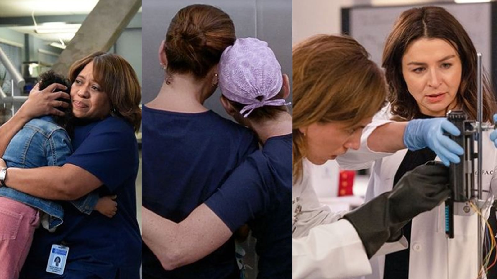 Greys Anatomy
