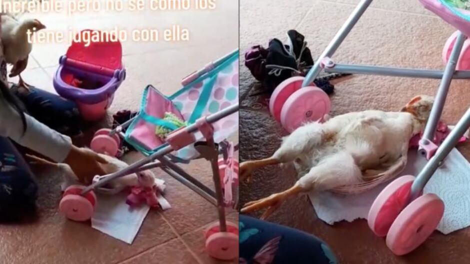 Una situación sorprendente y conmovedora