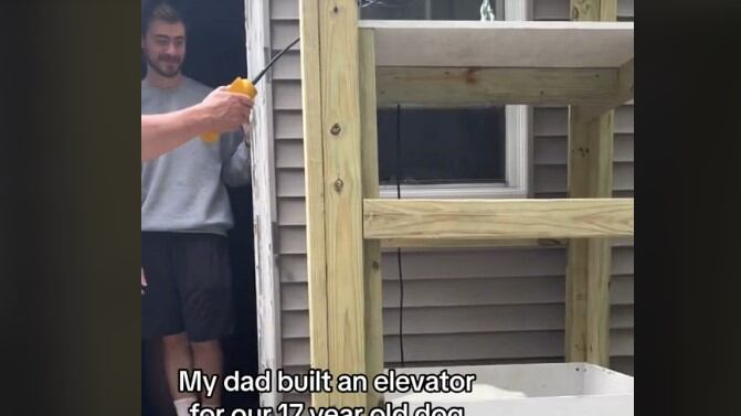 El ascensor facilitará que el perro puede subir y bajar sin usar las escaleras
