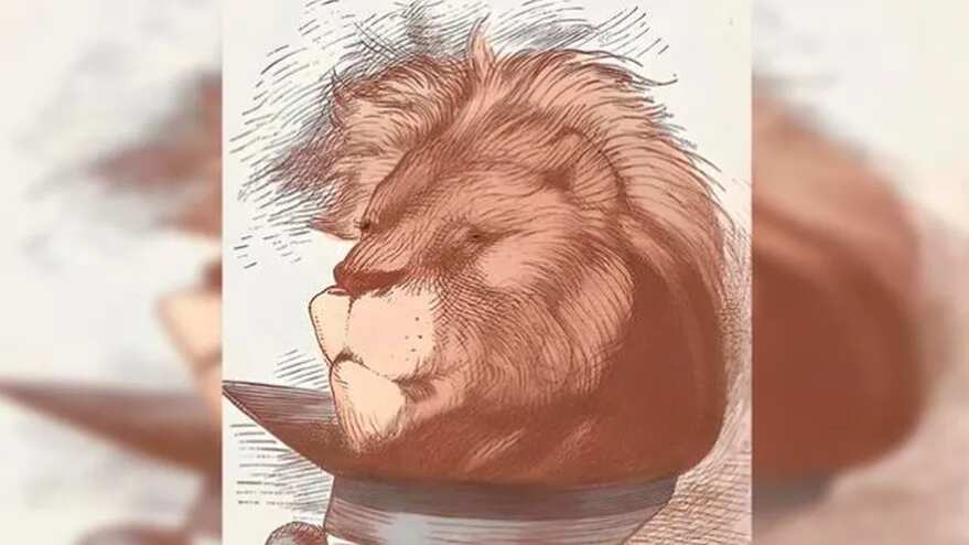 Descubre en dónde está el rostro del hombre.