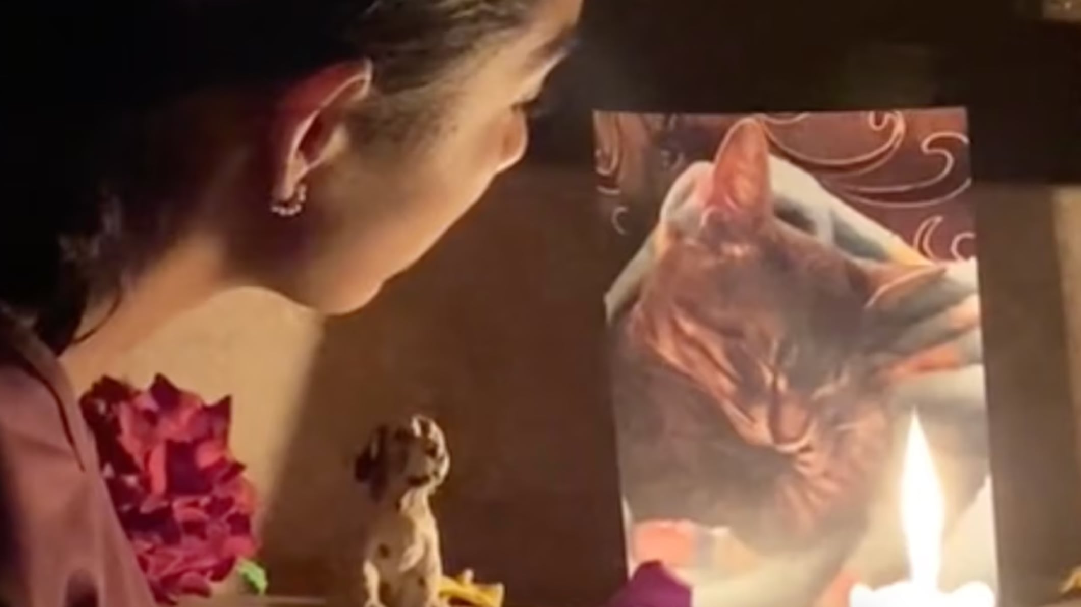 La conexión con las mascotas es única