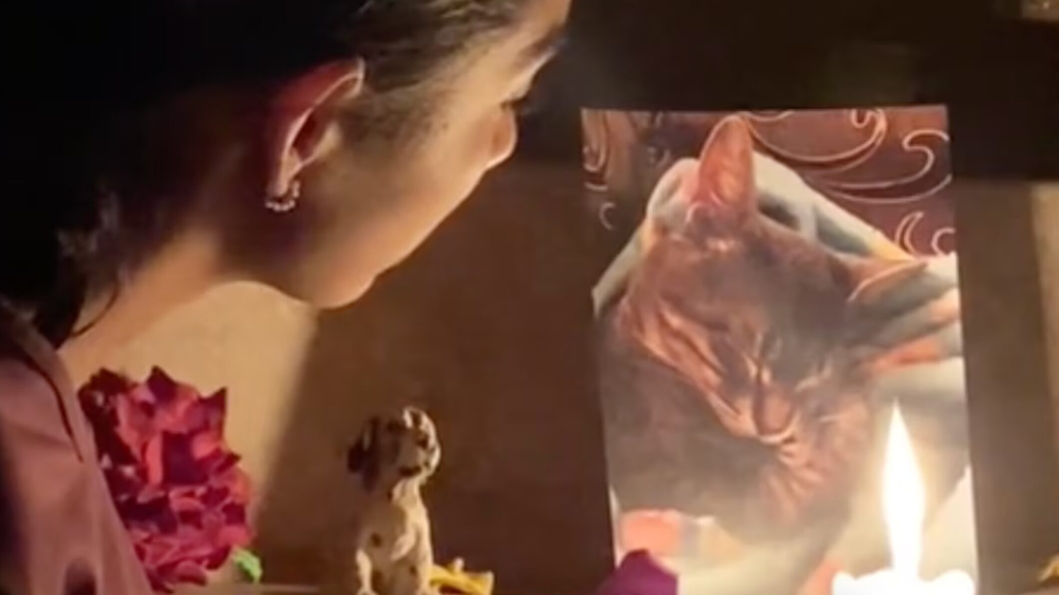 La conexión con las mascotas es única