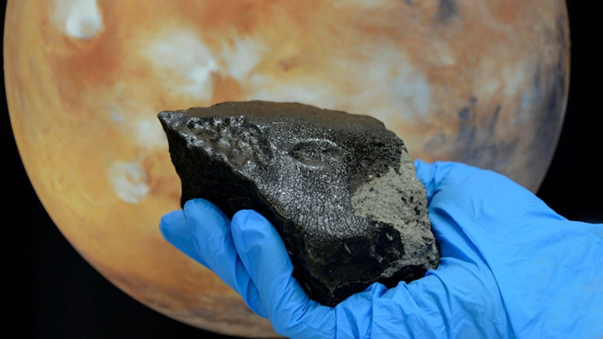 Fracciones del meteorito aterrizaron en la tierra | Foto: Ludovic Ferriere/Museo de Historia Natural de Viena