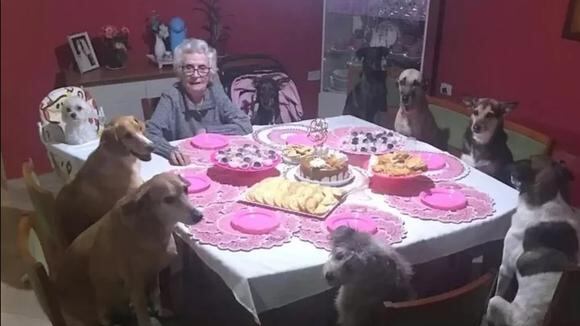 10 perros cantaron cumple a su dueña de 89 años.