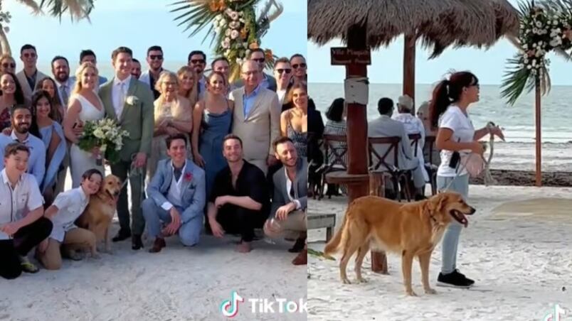 El perrito fue el invitado de honor