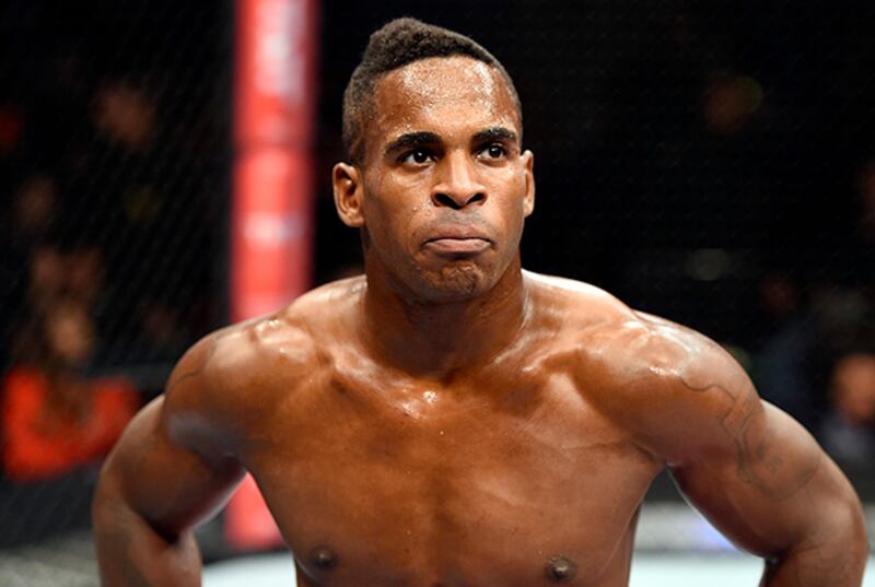 UFC pornstar