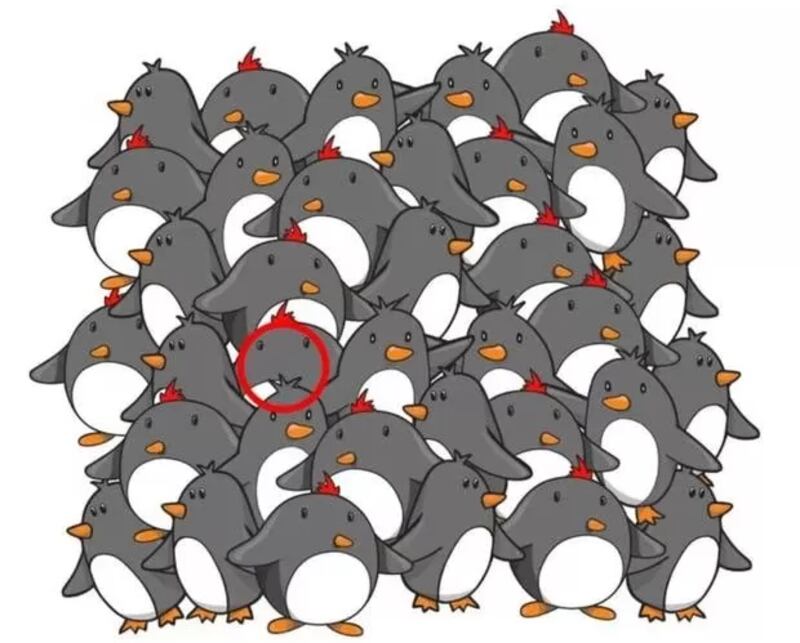 Aquí está el pingüino.