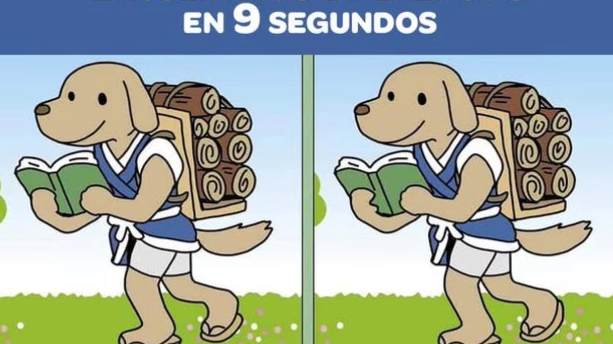 Localiza las diferencias de la imagen.