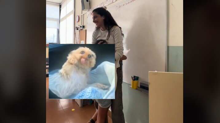Una estudiante corrió para abrazar a su maestra al enterarse que seguirá dándole clases