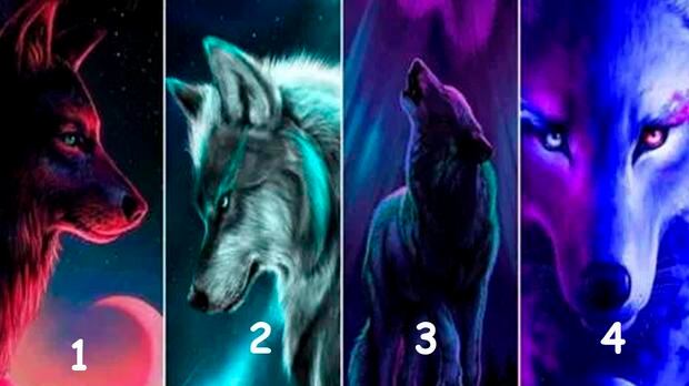 Elige un lobo y encuentra secretos ocultos de ti.