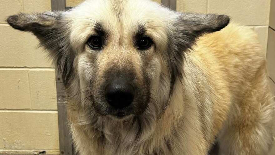 Una escena muy conmovedora