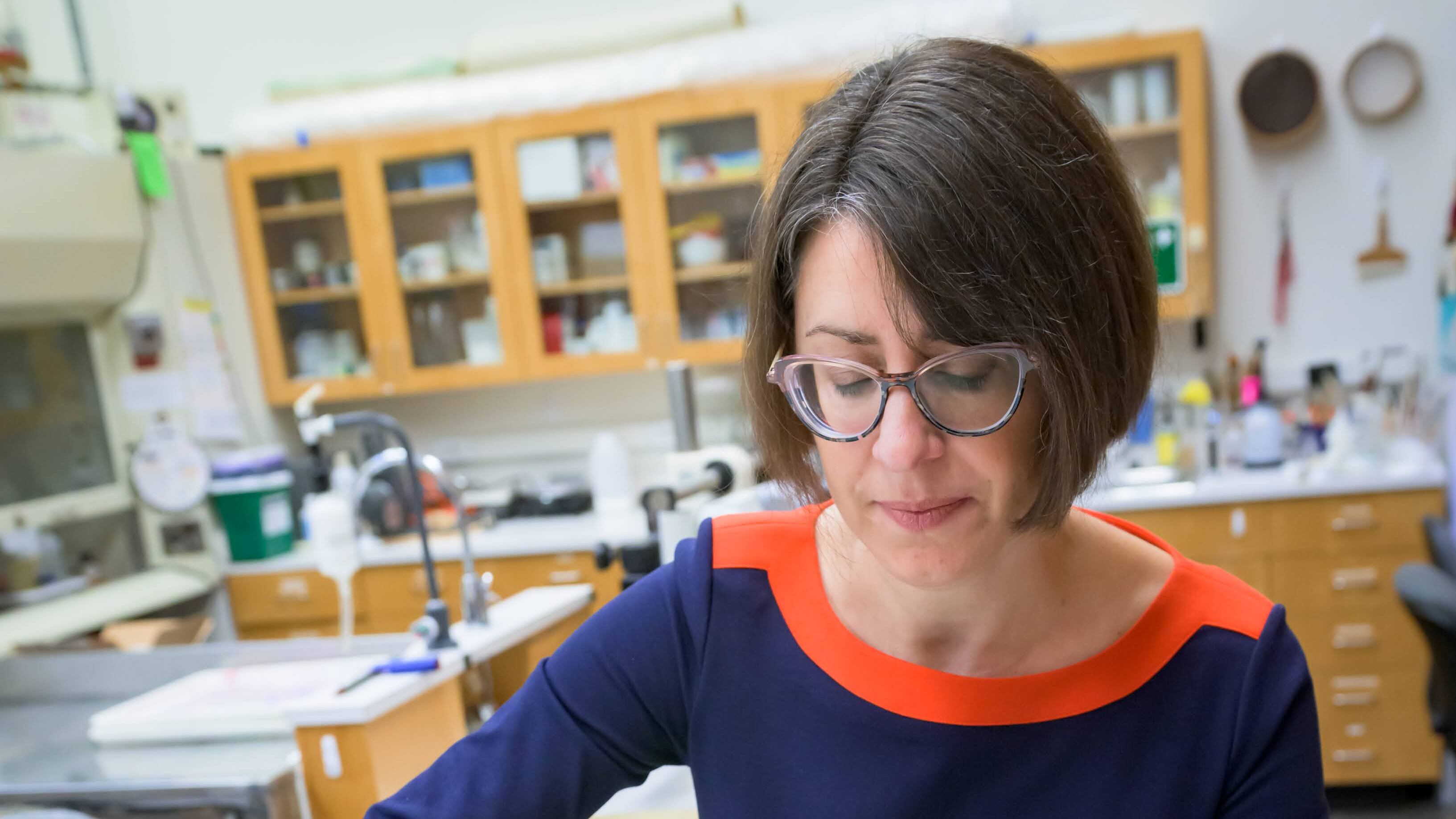 La Dra. Melissa Tedone coloca libros verdes arsenicales en bolsas de plástico con cierre para su almacenamiento