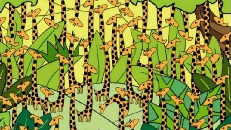 Encuentra la serpiente oculta.