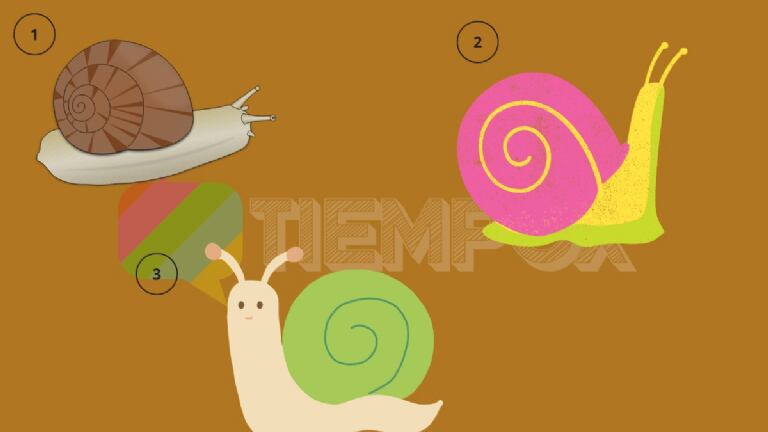 Descubre si eres ermitaño.