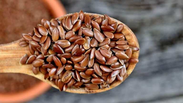 Las semillas de lino atacan el estreñimiento.