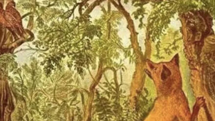 Pon mucha atención y descubre al animal.