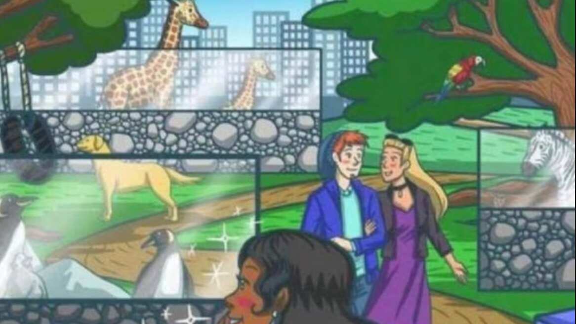 Encuentra al gatito oculto en la imagen.