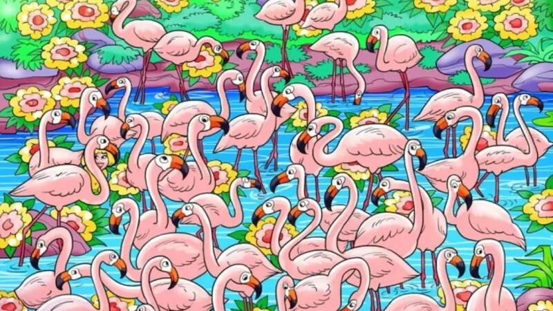 Encuentra la mujer oculta.