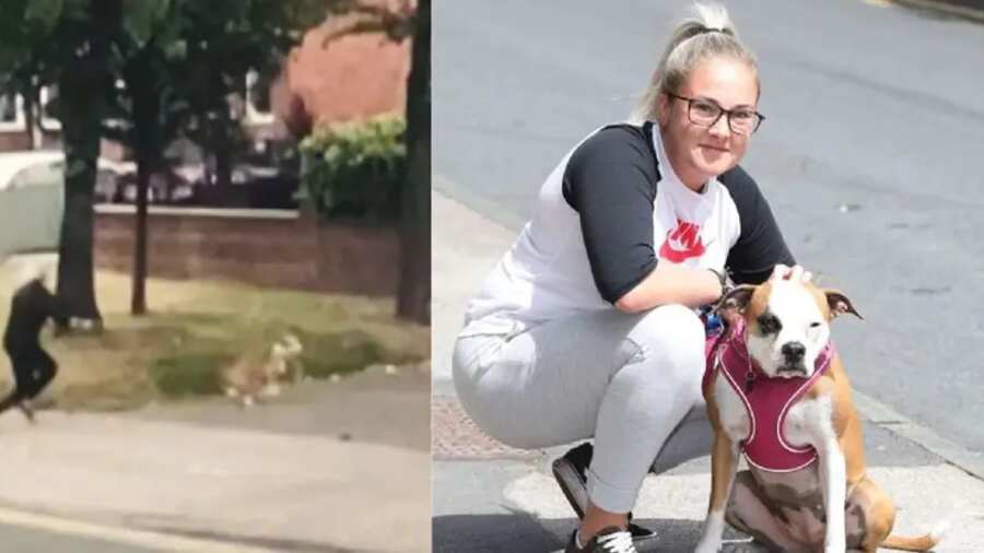 Perrita Orla y su dueña.