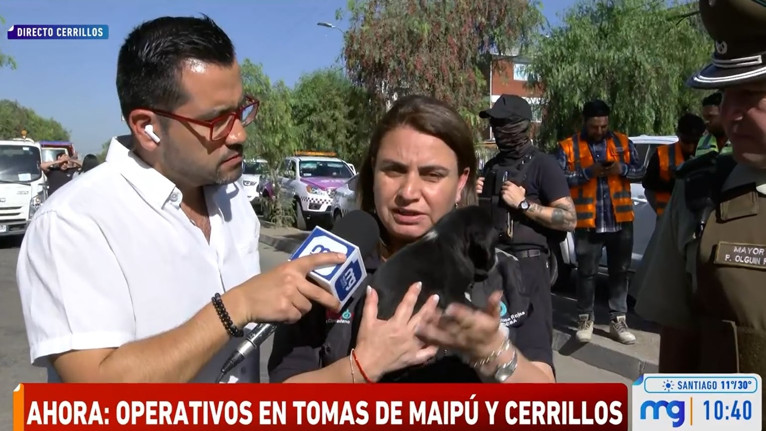 La edil reveló este jueves del hallazgo de dos cachorros abandonados por sus dueños en el desalojo realizado a una toma en la comuna capitalina.