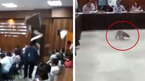 Un imprevisto que causó pánico en el lugar