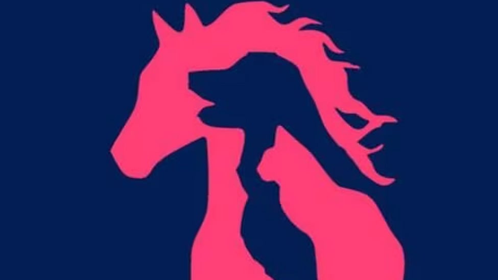 Elige una figura y descubre si eres responsable.