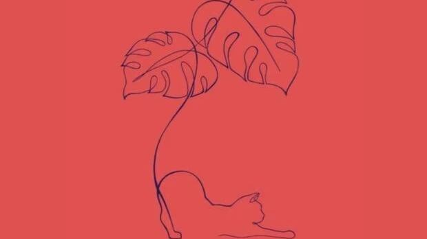 Descubre si eres enamoradizo.