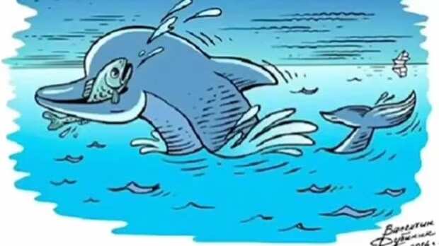 Encuentra los pájaros ocultos.