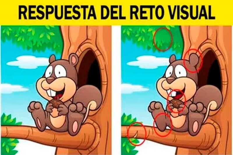 Aquí están las diferencias.