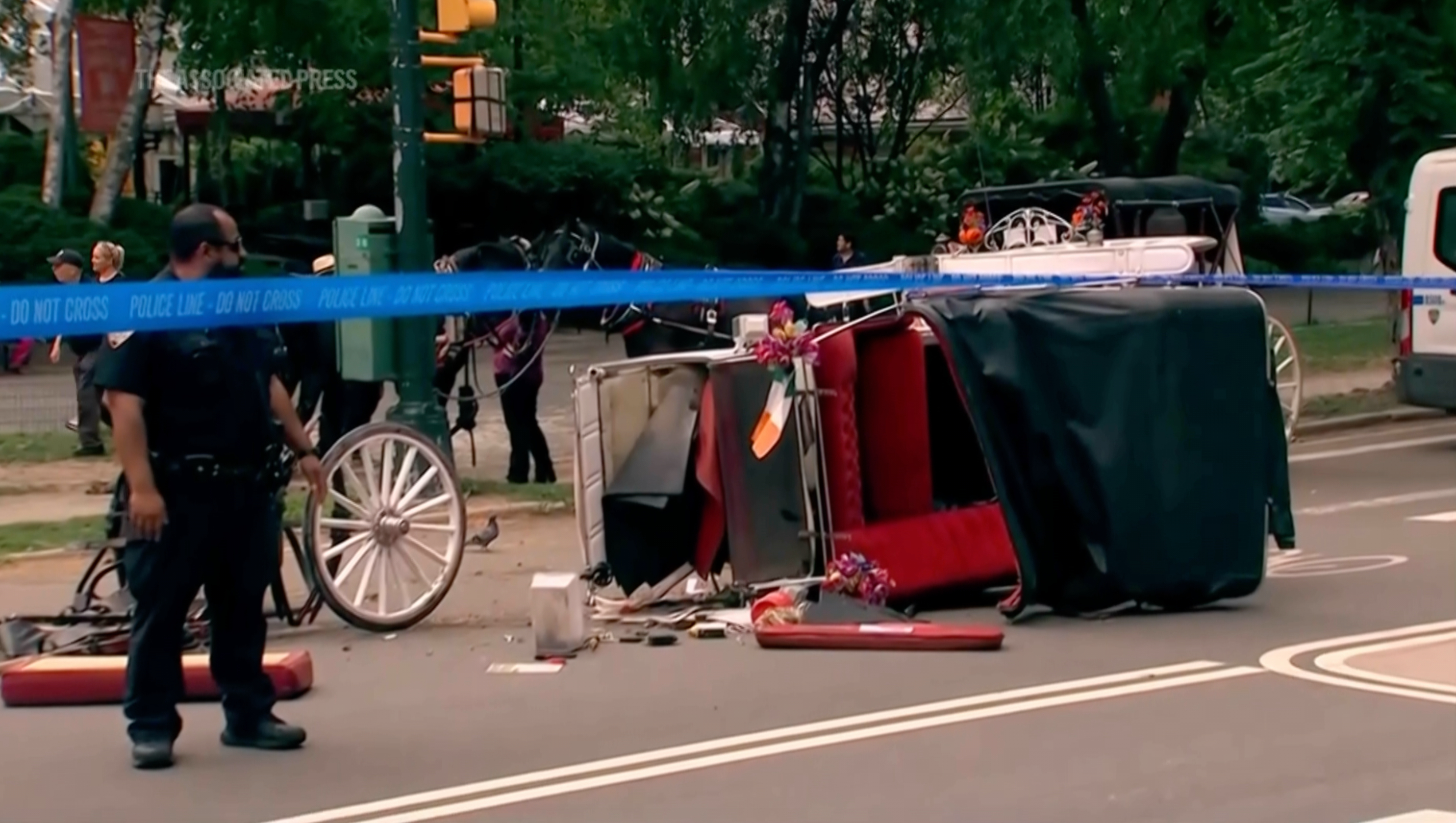 Turista de tan solo 18 años muere al caer de carruaje en Central Park, Nueva York