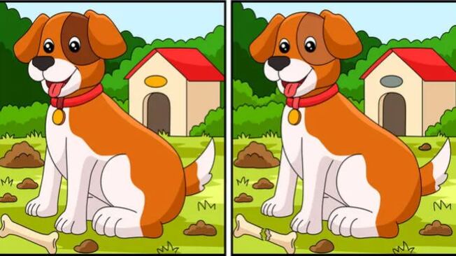 Encuentra las 8 diferencias.