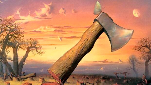 ¿Qué ves en la imagen?