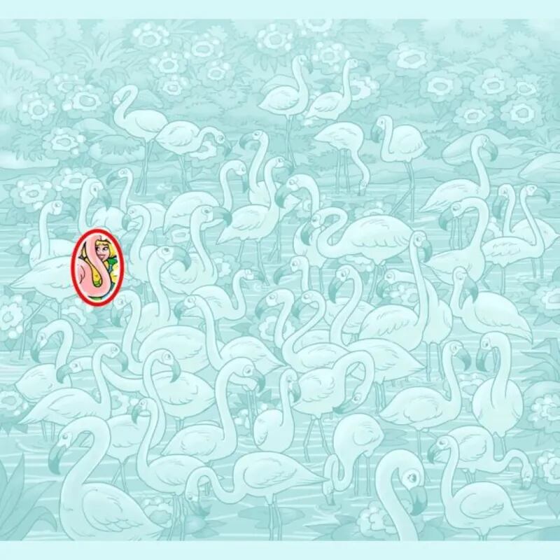 Aquí está la mujer.