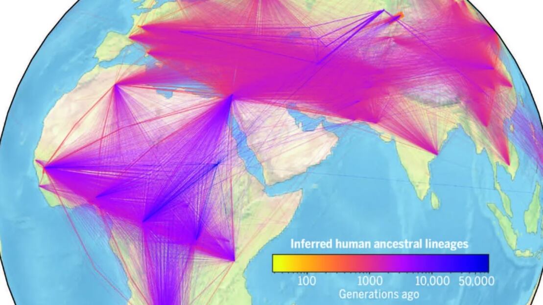Científicos crean el árbol genealógico más antiguo del mundo.