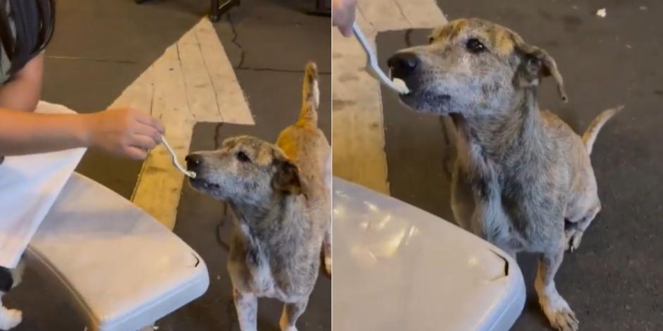 Un momento único que cautivó a todos