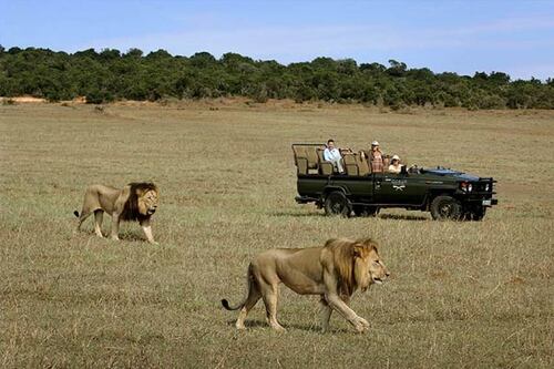 Multimillonario es encontrado culpable de asesinar a su esposa durante un safari en África