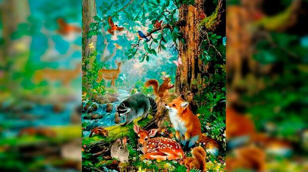 Encuentra al sapo oculto.