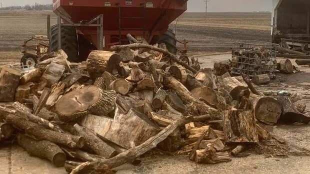 Encuentra el gato oculto.