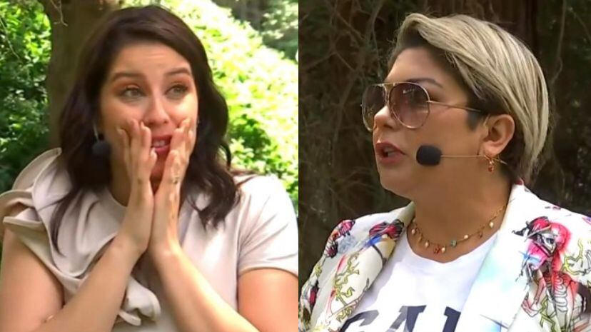 maria jose quintanilla