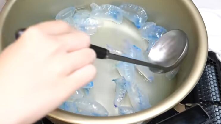 Comer medusas puede ser mortal por eso hay que evitarlo