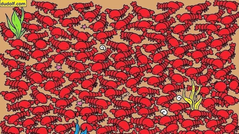 Encuentra los cangrejos ocultos.