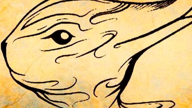 ¿Qué ves en la imagen?