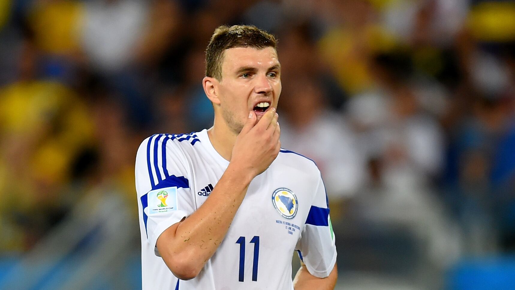 edin dzeko