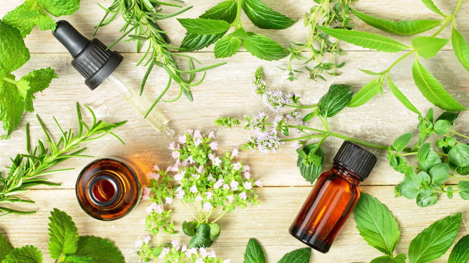 Los gases atrapados se combaten con aceite de menta.